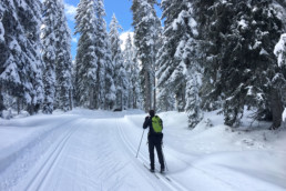 A private cross country ski lesson in Meribel