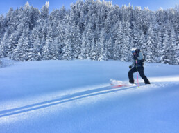 Off piste skier in the trees and powder in Courchevel Moriond